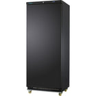 600lt Commercial Freezer Upright Cabinet Black Single Door |  Dwf600 Bc