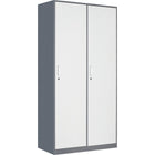 Commercial 2 Door Locker 900x450x1800mm Gray White | Hdgs02