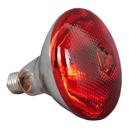 Commercial Suspension Food Warmer 4 Heating Lamps |  Wlb1100