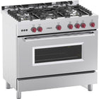 Professional Gas Range Oven 7k W With 5 Burners 11.4k W |  Y95 Nd
